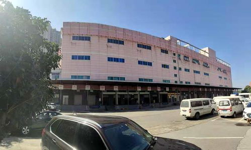 國(guó)內(nèi)最大醫(yī)藥食品物流中心長(zhǎng)沙國(guó)際物流交博會(huì)上受青睞