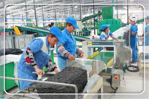 2021年適合農(nóng)村開(kāi)辦的小型加工廠項(xiàng)目 投資少、前景廣闊